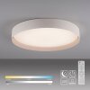 SCHÖNER WOHNEN-Kollektion TAVOLI plafonnier LED rond style basique pour salon