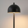 SCHÖNER WOHNEN-Kollektion BELLIS lampe de table LED orientable, interrupteur tactile