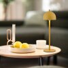 SCHÖNER WOHNEN-Kollektion BELLIS lampe de table LED, style moderne, 3000 K, 290 lm
