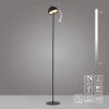 SCHÖNER WOHNEN-Kollektion BELLIS lampadaire sur pied salon LED moderne à hauteur réglable