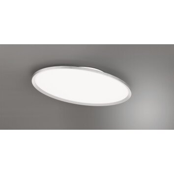 Trio Leuchten Plafonnier LED ovale plat moderne en titane, 6500 Kelvin blanc lumière du jour