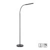 Paul Neuhaus lampadaire LED ELLY, bras arqué réglable, blanc réglable 2700-5000 Kelvin
