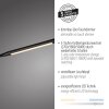 Paul Neuhaus lampadaire LED ELLY, bras arqué réglable, blanc réglable 2700-5000 Kelvin