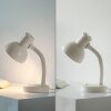 Paul Neuhaus Lampe de bureau FLEXI à col de cygne, réglable, blanche, 2700-5000 Kelvin