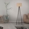 Leuchten Direkt lampadaire DURO à trois pieds avec abat-jour cylindrique beige
