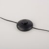 Leuchten Direkt lampadaire LED RITUS à 2 cercles décalés, blanc chaud 3000 Kelvin