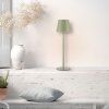 Leuchten Direkt Lampe à poser BOTERIA, LED verte orientable, 3000 Kelvin blanc chaud