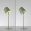 Leuchten Direkt Lampe à poser BOTERIA, LED verte orientable, 3000 Kelvin blanc chaud