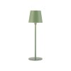 Leuchten Direkt Lampe à poser BOTERIA, LED verte orientable, 3000 Kelvin blanc chaud