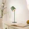 Leuchten Direkt Lampe à poser BOTERIA, LED verte orientable, 3000 Kelvin blanc chaud
