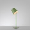 Leuchten Direkt Lampe à poser BOTERIA, LED verte orientable, 3000 Kelvin blanc chaud