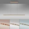 Paul Neuhaus, suspension LED ADRIANA, fonction mémoire, blanc réglable 2700-5000 Kelvin