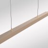Paul Neuhaus, suspension LED ADRIANA, fonction mémoire, blanc réglable 2700-5000 Kelvin