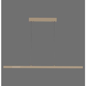 Paul Neuhaus, suspension LED ADRIANA, fonction mémoire, blanc réglable 2700-5000 Kelvin