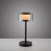 Paul Neuhaus, lampe à poser LED RIKA à variateur tactile avec mémoire, design moderne