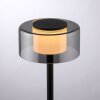 Paul Neuhaus, lampe à poser LED RIKA à variateur tactile avec mémoire, design moderne