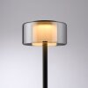 Paul Neuhaus, lampe à poser LED RIKA à variateur tactile avec mémoire, design moderne
