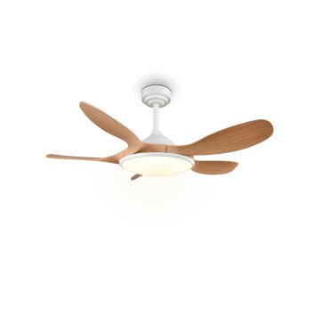 Reality Ventilateur LED Flen, dimmable par télécommande, blanc réglable 2700-6500 Kelvin