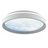 Brilliant Plafonnier LED rond Sky-Dream gris, télécommande, blanc réglable 3000-6500 Kelvin