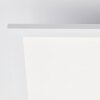 Brilliant Plafonnier LED Trevis, carré et plat, blanc, 4 000 Kelvin blanc neutre