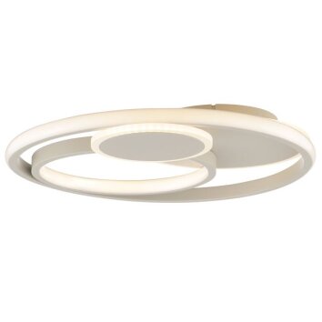 Brilliant Leuchten Plafonnier LED Runda, forme circulaire, 3000 Kelvin blanc chaud
