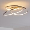 Plafonnier Chute LED Nickel mat, 1 lumière