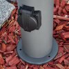 Borne lumineuse Buhrkall Anthracite, 1 lumière