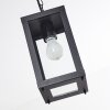 Suspension d'extérieur Caudry Noir, 1 lumière