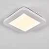 Plafonnier Siguna LED Blanc, 1 lumière