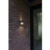 Applique murale d'extérieur Lutec Lotus LED Anthracite, 1 lumière