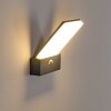 Applique murale d'extérieur Heraklion LED Anthracite, 1 lumière