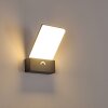 Applique murale d'extérieur Heraklion LED Anthracite, 1 lumière