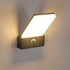 Applique murale d'extérieur Heraklion LED Anthracite, 1 lumière
