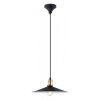 Lampe suspendue Eglo BRIDPORT Cuivre, Noir, 1 lumière