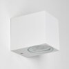 Applique murale d'extérieur Nordborg LED Blanc, 1 lumière