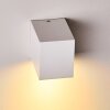 Applique murale d'extérieur Nordborg LED Blanc, 1 lumière