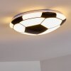 Plafonnier Sakka LED Noir, Blanc, 1 lumière