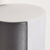 Applique murale d'extérieur Baulund LED Anthracite, 1 lumière