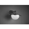 Applique murale Trio Donez Anthracite, 1 lumière