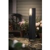 Borne lumineuse Philips Hue White Turaco LED Anthracite, 1 lumière