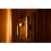Kit de base double Philips Hue Ambiance White & Color Play Lightbar LED Noir, 2 lumières, Changeur de couleurs
