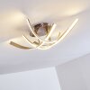 Plafonnier Aranu LED Nickel mat, 4 lumières