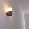 Applique murale d'extérieur Schafhaus Anthracite, 1 lumière