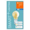 LED E27 5,5 Watt 2500 Kelvin 600 Lumen LEDVANCE SMART+