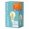 LED E27 5,5 Watt 2500 Kelvin 600 Lumen LEDVANCE SMART+