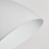 Lampe à pince Stranderott Blanc, 1 lumière