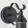 Applique murale d'extérieur Broni Noir, 1 lumière