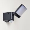 Applique murale d'extérieur Larvik LED Anthracite, 1 lumière, Détecteur de mouvement
