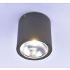 Plafonnier Paul Neuhaus GEORG LED Anthracite, 1 lumière