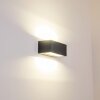 Applique murale d'extérieur GEMINI LED Anthracite, 1 lumière
